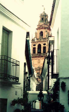 Bell Tower of Cathedral from Flores St.